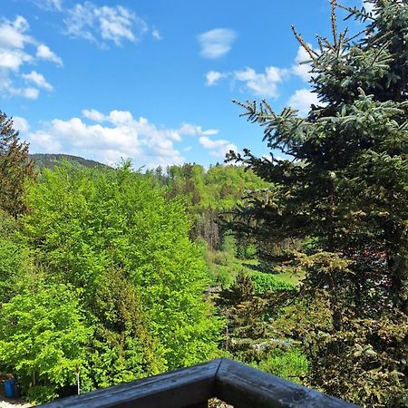 Haus Westharz Goslar Apartment Bad Grund Luaran gambar