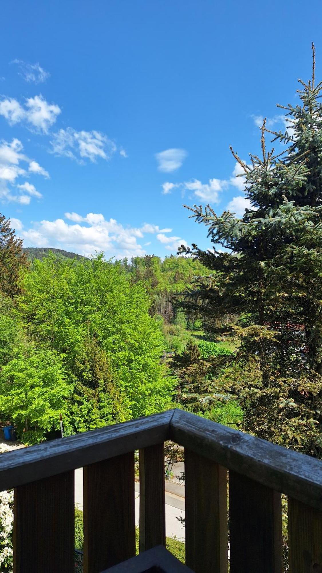 Haus Westharz Goslar Apartment Bad Grund Luaran gambar