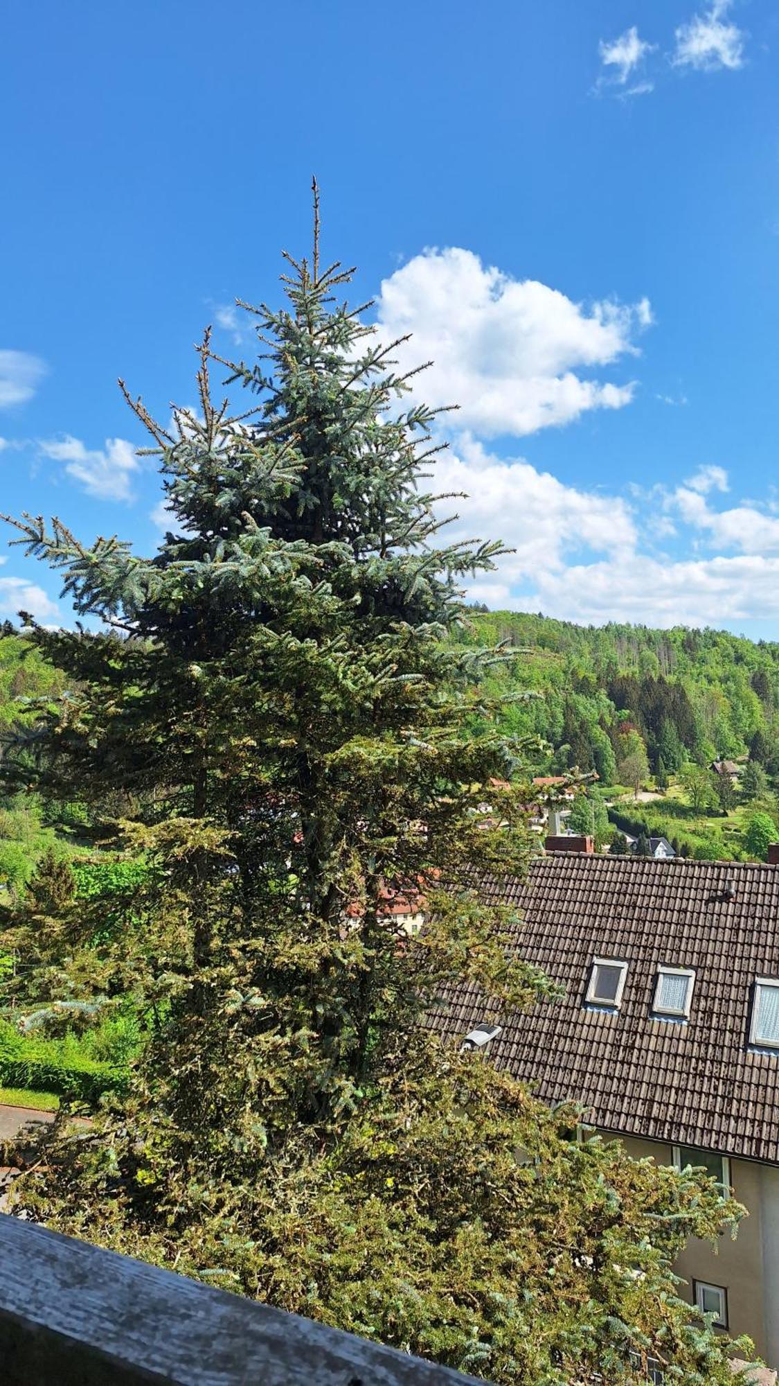 Haus Westharz Goslar Apartment Bad Grund Luaran gambar